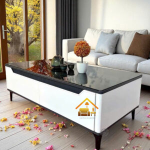 bàn sofa kiểu dáng hiện đại